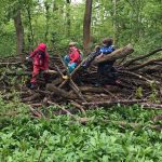 Waldgeflüster – Waldgrupe