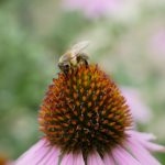 Garten der Sinne | Umweltbildungseinrichtung