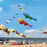 8. STADT UND LAND-Festival der RIESENDRACHEN