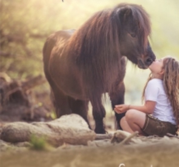 Erlebnis Kindergeburtstage rund um‘s Thema „Pony“