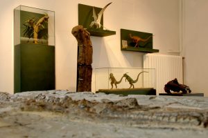 Kinder- und Familienführung im Mineralien-Museum: Auf den Spuren der Dinosaurier