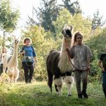 Lama-Abenteuer zum Kindergeburtstag