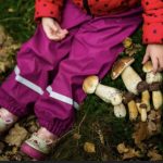 Spielerisch spannende Pilzwanderung in Leipzig